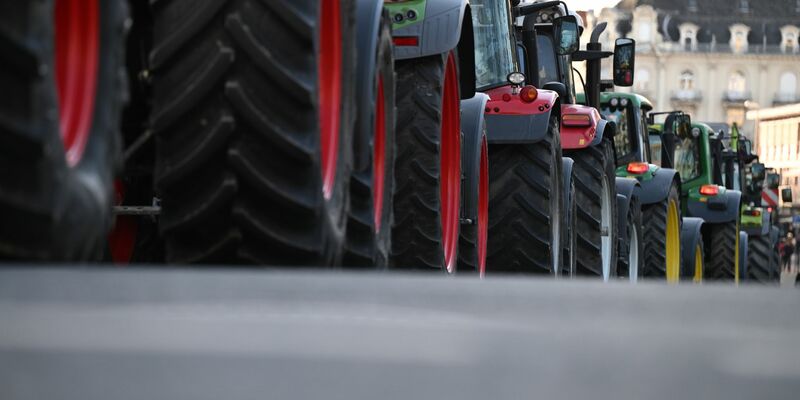 Auch in den Niederlanden protestieren Bauern gegen die europäische Agrarpolitik. (Symbolbild/Archivbild) - Foto: Arne Dedert/dpa