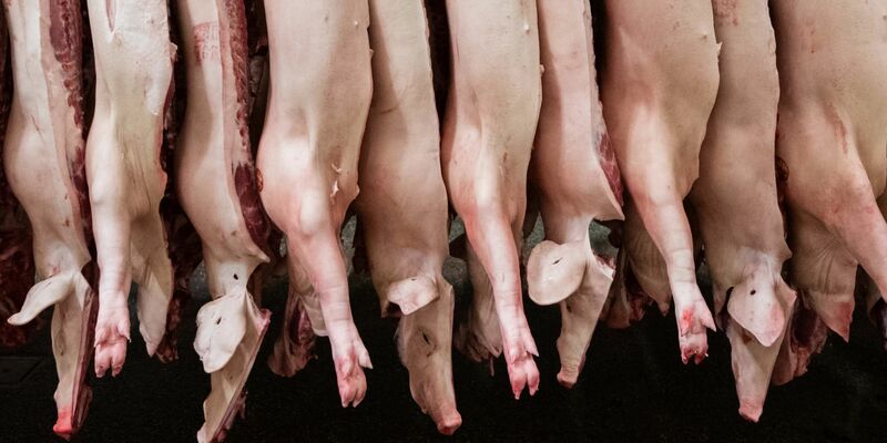 Insgesamt produzierten Schlachtunternehmen 2023 rund 4,2 Millionen Tonnen Schweinefleisch - deutlich weniger als noch 2022. - Foto: Mohssen Assanimoghaddam/dpa
