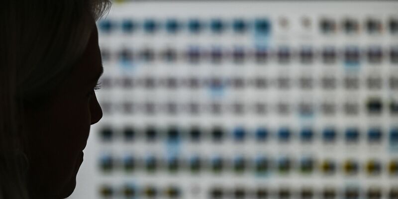 Ermittlerin der Besonderen Aufbauorganisation BAO Fokus (Fallübergreifende Organisationsstruktur gegen Kinderpornografie und sexuellen Missbrauch von Kindern) in Wiesbaden. - Foto: Arne Dedert/dpa