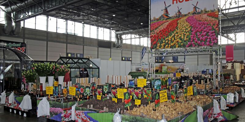 Haus-Garten-Freizeit - Foto: Theresa Wappes über pressetext.de