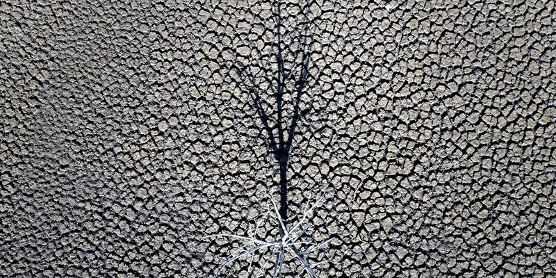 Die globalen Temperaturen steigen weiter an. - Foto: Emilio Morenatti/AP/dpa