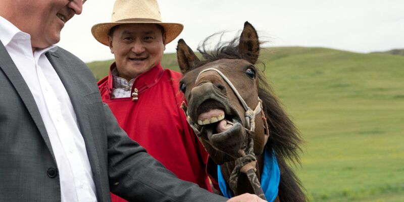 Der damalige Bundesaußenminister Frank-Walter Steinmeier (l) hat bei seiner Reise in die Mongolei im Jahr 2014 ein Pferd namens «Donnernde Hufe» geschenkt bekommen (Archivbild). - Foto: Soeren Stache/dpa