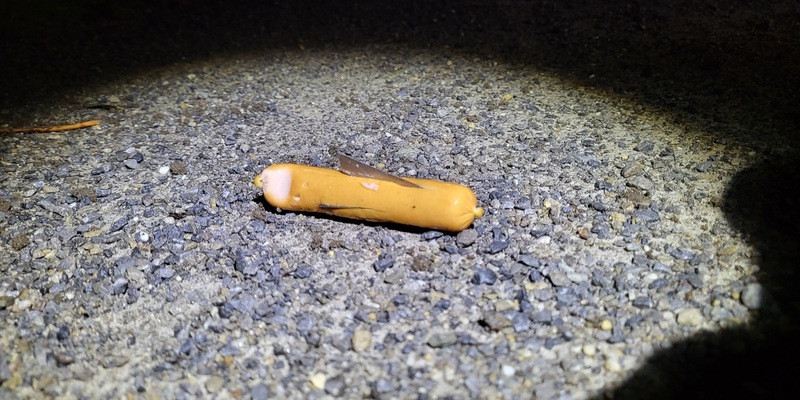 POL-SO: Vermeintlich präparierter Köder aufgefunden - Foto: presseportal.de