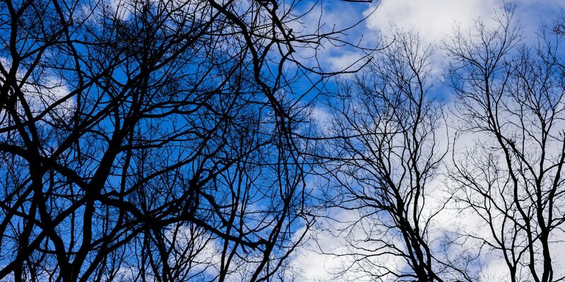 Für Samstag wird frühlingshaftes Wetter angekündigt. - Foto: Rolf Vennenbernd/dpa