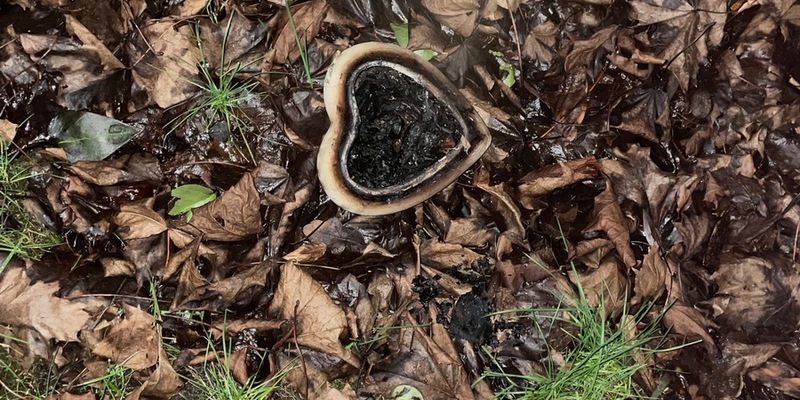 FW-ROW: Aschenbecher löst Brand in einer Wohnung aus - Foto: presseportal.de