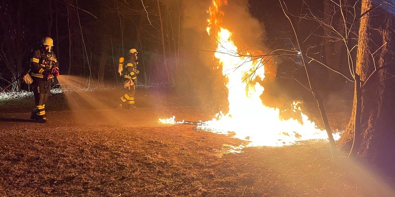 FW-M: Dixi niedergebrannt (Untergiesing) - Foto: presseportal.de