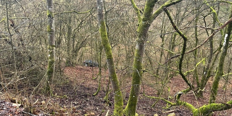 POL-PDTR: Glück im Unglück, PKW stürzt Abhang bei Fell hinab - Foto: presseportal.de