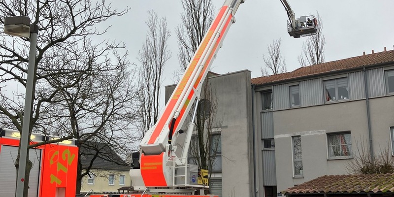 FW Hannover: Katze mit Teleskopmastbühne aus Baum gerettet - Foto: presseportal.de