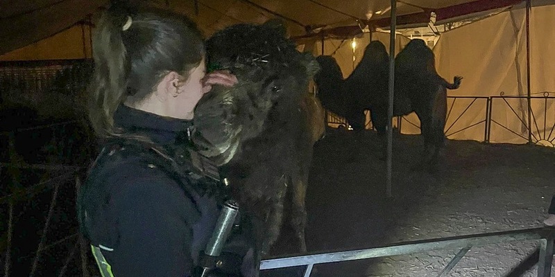 POL-MK: Haariger Einsatz in der Nachtschicht - Foto: presseportal.de