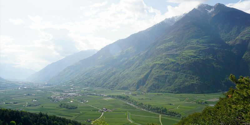 Das untere Vinschgau ist geprägt von Apfelplantagen. - Foto: Carsten Brühl, Rptu/Alpha Galileo/dpa