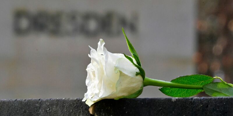 Eine weiße Rose als Symbol der Erinnerung auf dem Heidefriedhof. - Foto: Matthias Rietschel/dpa