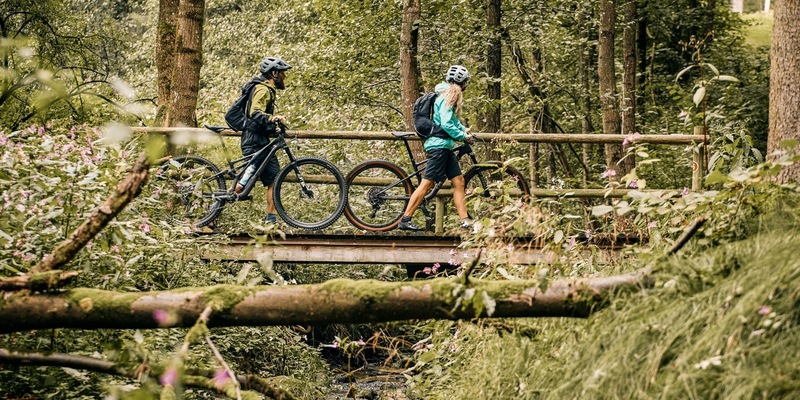 Auf der Trans Bayerwald durch den Bayerischen Wald / Fordernd, wild, aussichtsreich, grün - Foto: presseportal.de