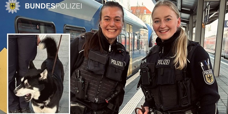 Bundespolizeidirektion München: Einsatz wegen eines Fundhundes / Zusammenführung geglückt - Foto: presseportal.de