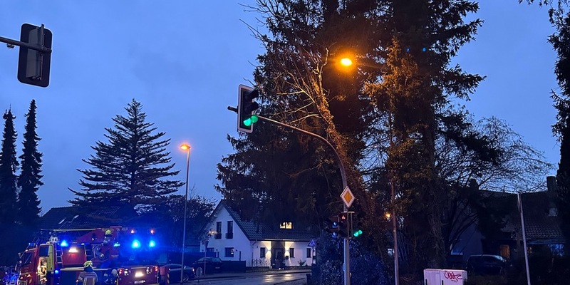 FW-DT: Baum auf Ampelmast - Foto: presseportal.de