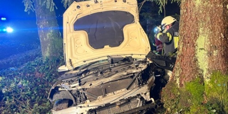 POL-STD: 23-jähriger Taxifahrer bei Unfall im Rüstjer Forst schwer verletzt, Einbrecher in Neuenkirchener Lagerhalle entwenden Fenster, Polizei und Zoll kontrollieren am Buxtehuder Bahnhof auf Drogen - Foto: presseportal.de