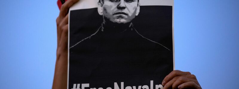 International wurde Alexej Nawalny als politischer Gefangener eingestuft. - Foto: Oded Balilty/AP/dpa