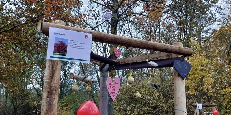 POL-BS: Bäume der Erinnerung geplündert - Zeugen gesucht - Foto: presseportal.de