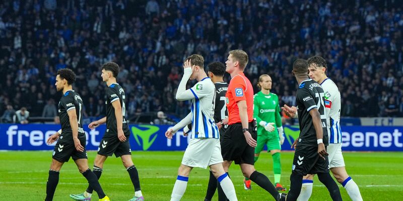 Schiedsrichter Florian Exner verlässt mit den Spielern beider Mannschaften das Spielfeld. - Foto: Soeren Stache/dpa