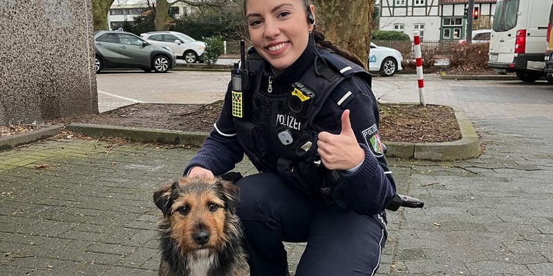POL-GT: Terrier Charlie aus Rietberg wurde in Gütersloh von einem aufmerksamen Hinweisgeber erkannt - Foto: presseportal.de