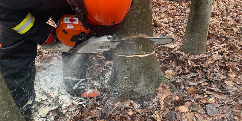 FW Xanten: Ausbildung für Arbeiten mit der Motorkettensäge - Foto: presseportal.de