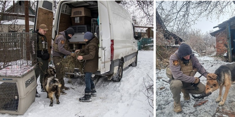 Zwei Jahre Ukraine-Krieg: 15.000 gerettete Tiere, 1.500 Tonnen Nahrung, 1.300 sichere Plätze für Tiere und eine Tierklinik | Einblick in PETAs größtes karitatives Tiernothilfeprojekt - Foto: presseportal.de