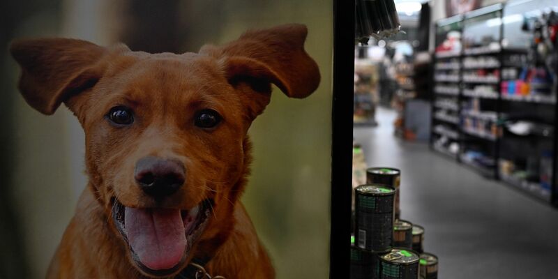 Die Heimtierbedarfskette Fressnapf verzeichnet ein Umsatzplus. - Foto: Federico Gambarini/dpa