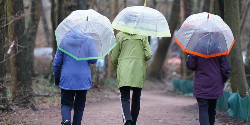 Spaziergang mit Regenschirmen in Hamburg. - Foto: Marcus Brandt/dpa
