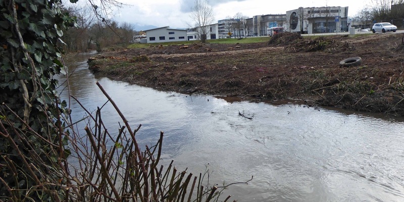 POL-FR: Emmendingen: Verbotene Rodungsarbeiten - Zeugen gesucht - Foto: presseportal.de