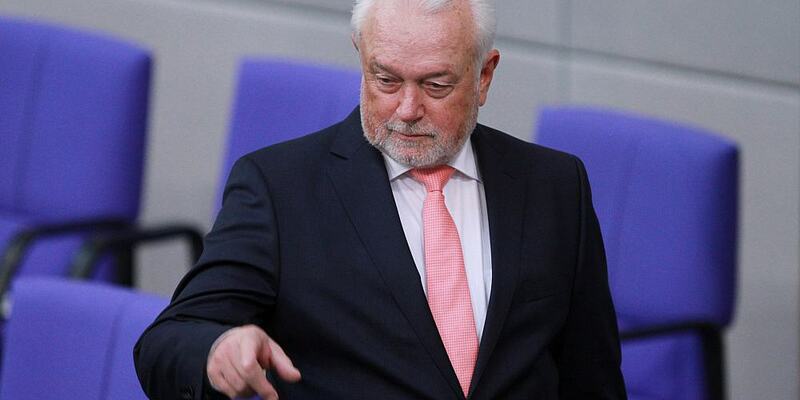 Wolfgang Kubicki (Archiv) - Foto: über dts Nachrichtenagentur