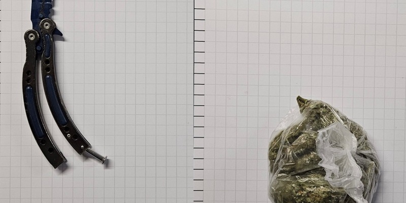 BPOL NRW: Bundespolizei stellt Drogen und Waffe im Schnellzug sicher - Foto: presseportal.de