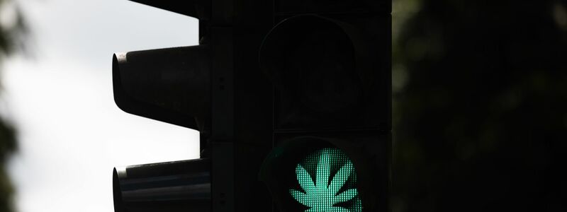Der Bundestag hat die kontrollierte Cannabis-Freigabe beschlossen. - Foto: Rolf Vennenbernd/dpa