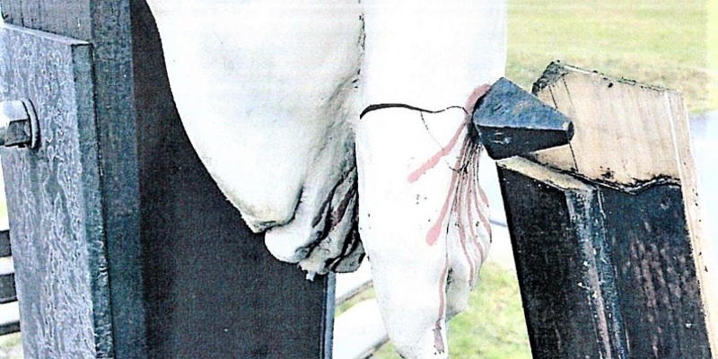 LPI-NDH: Zeugenaufruf: Wer kann nach einer Sachbeschädigung an einer sakralen Figur Hinweise geben? - Foto: presseportal.de