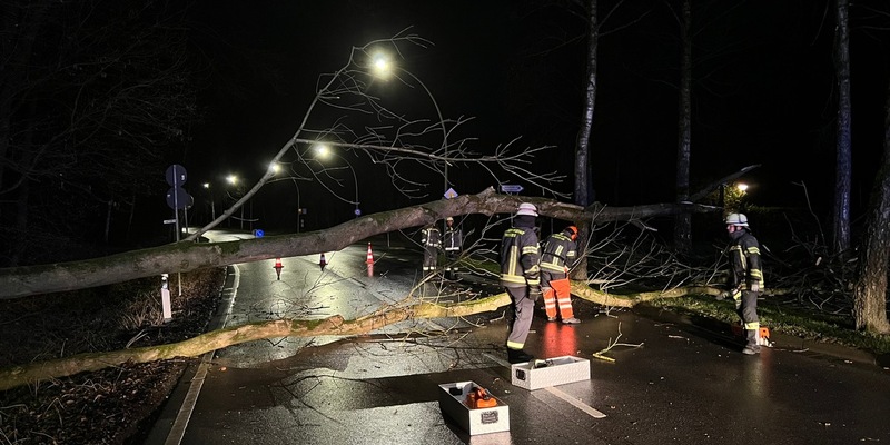 FW-WRN: Mehrere sturmbedingte Einsätze für die Freiwillige Feuerwehr Werne - Foto: presseportal.de