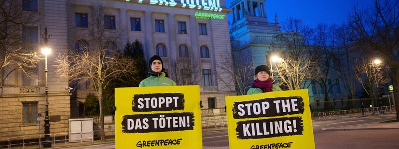 Zum zweiten Jahrestag des Beginns des Ukraine-Krieges projiziert Greenpeace den Satz «Stoppt das Töten!» an die Fassade der russischen Botschaft in Berlin. - Foto: Annette Riedl/dpa