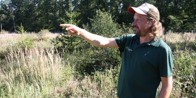 Neues FSC-Magazin - Aktuelles aus Wald und Verarbeitung - Foto: presseportal.de