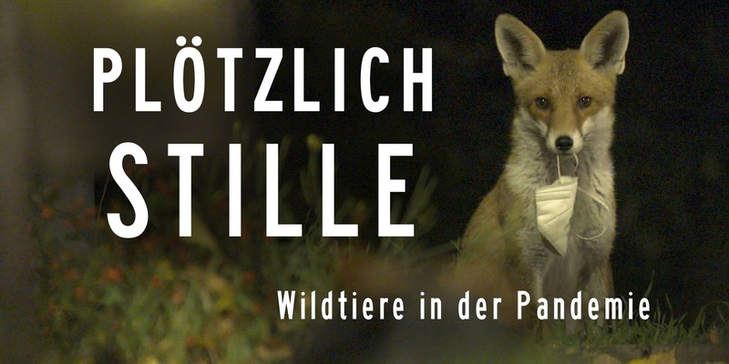 MDR-Koproduktion „Plötzlich Stille – Wildtiere in der Pandemie“ im Ersten - Foto: presseportal.de