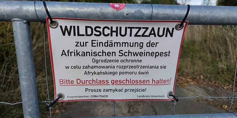 Wildschutzzaun (Archiv) - Foto: über dts Nachrichtenagentur