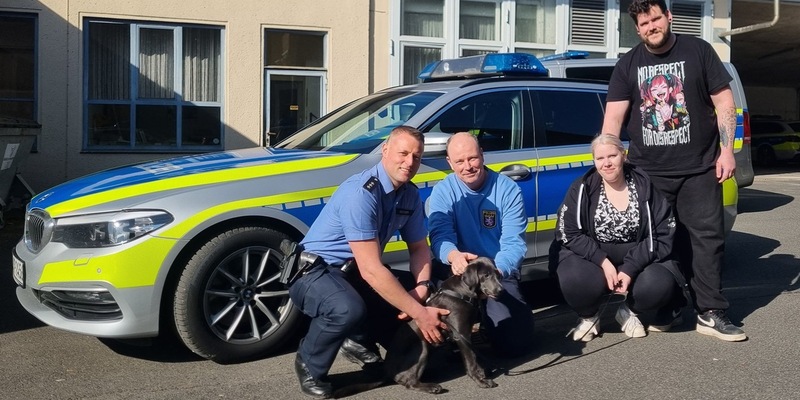 POL-OH: Tierische Freunde nach Verkehrsunfall - Foto: presseportal.de