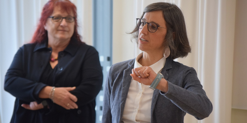 Vortrag - Foto: PH NÖ / Fikisz über pressetext.de