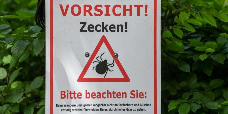 Warnschild im Biosphärenreservat Schorfheide-Chorin. - Foto: Jens Kalaene/dpa-Zentralbild/dpa