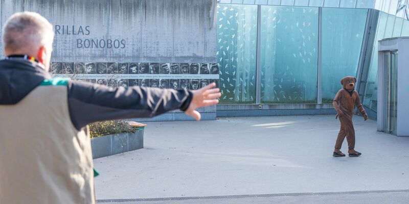 Der «Bär» wurde gestellt. - Foto: Birger Meierjohann/Wilhelma Stuttgart /dpa