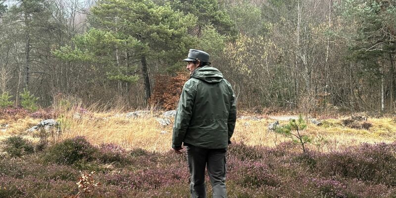 Die im Trentino lebenden Bären sind dort stark umstritten. (Archivbild) - Foto: Robert Messer/dpa