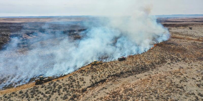 Feuerwehrleute bekämpfen das Smokehouse Creek Fire nördlich von Canadian im US-Bundesstaat Texas. - Foto: David Erickson/AP/dpa