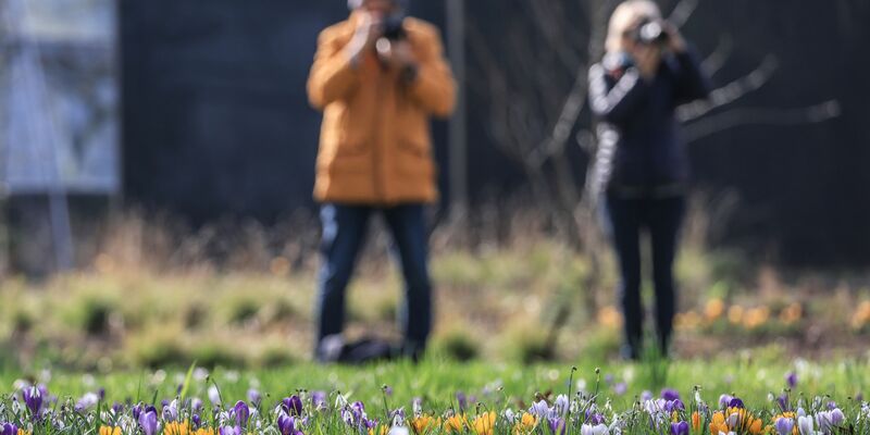 Der Frühling hält Einzug in Deutschland. - Foto: Oliver Berg/dpa
