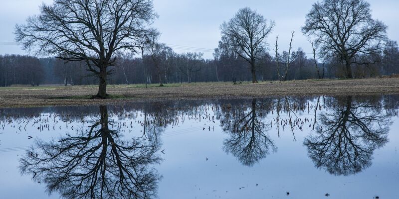Nach einem regenreichen Winter mit Überschwemmungen hoffen die Landwirte auf einen trockenen Frühling. - Foto: Jens Büttner/dpa