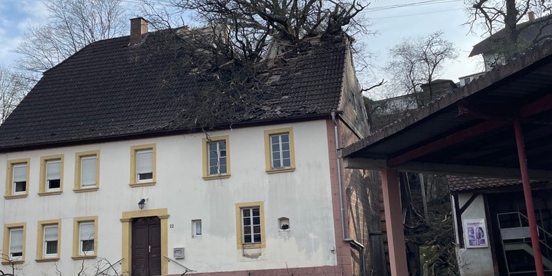 POL-PPWP: Baum stürzt in unbewohntes Gebäude - Foto: presseportal.de