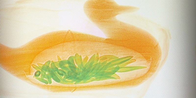 HZA-F: Der ZOLL hilft, bedrohte Tiere und Pflanzen zu schützen 3. März 2024 ist Tag des Artenschutzes - Foto: presseportal.de