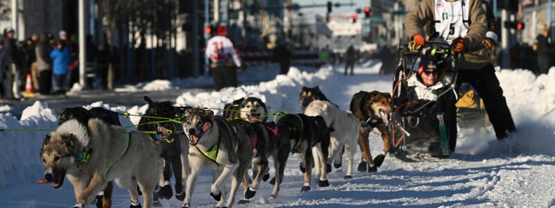 Mats Pettersson aus Schweden beim Iditarod-Hundeschlittenrennen in Anchorage. - Foto: Bob Hallinen/Anchorage Daily News via AP/dpa