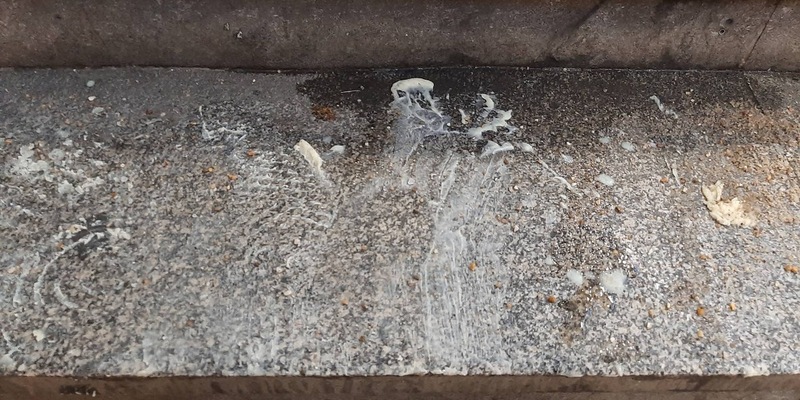 BPOLD-B: Frittieröl auf Bahnhofstreppe: Bundespolizei sucht nach Zeugen - Foto: presseportal.de