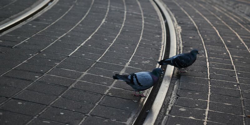An vielen Stellen geht es gerade darum, wie der Wohlstand verteilt wird, und die Stimmung ist mitunter gereizt. Sind da auch Streiks in Deutschland mittlerweile härter als früher? - Foto: Joerg Carstensen/dpa